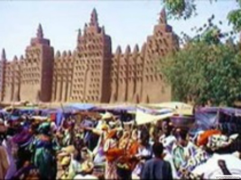Fulani market