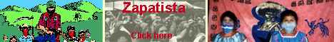 Zapatista banner